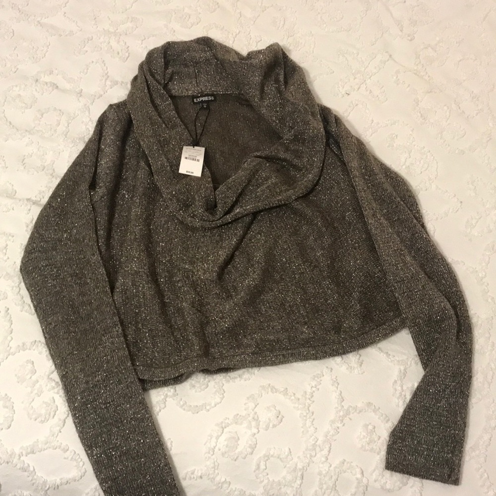Express crop sweater